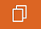 copyIcon